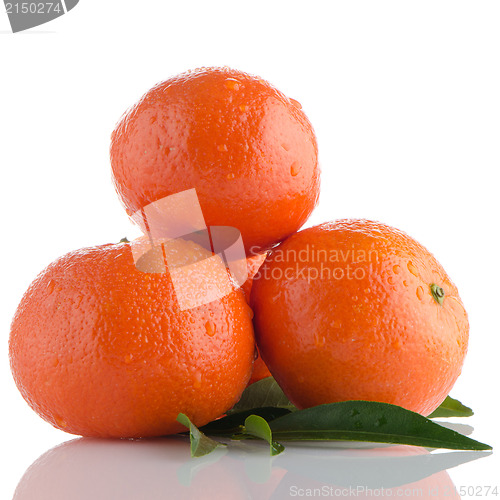 Image of Ripe tangerines or mandarin