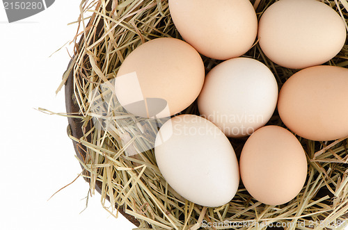 Image of Eggs closeup