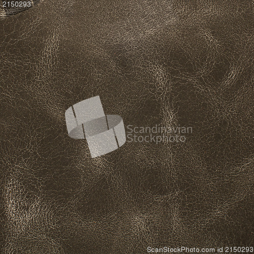 Image of Grey leather texture closeup