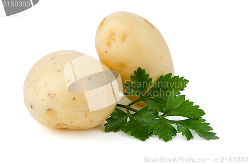 Image of New potatoes and green parsley