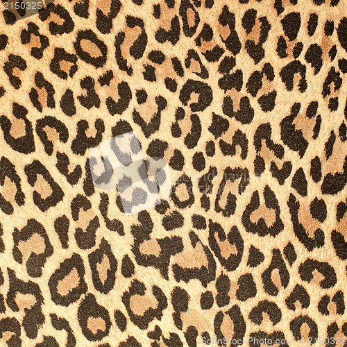 Image of Leopard leather pattern texture closeup