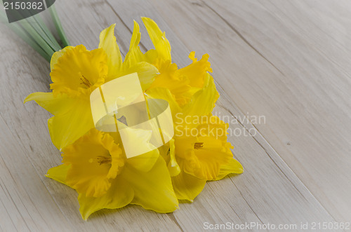 Image of Jonquil flowers