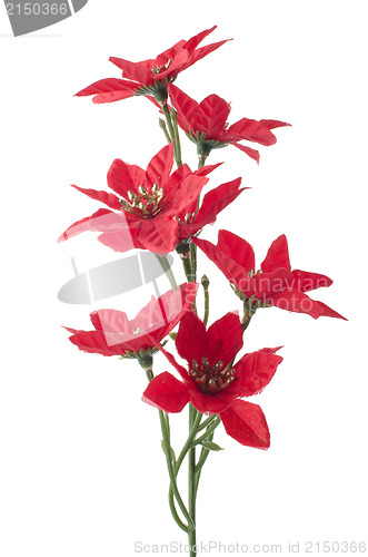 Image of Red Christmas decoration