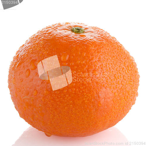 Image of Ripe tangerine or mandarin