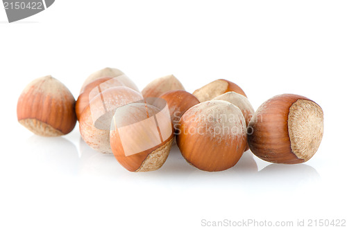 Image of Fresh hazelnuts 