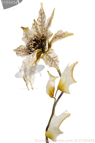 Image of White Christmas decoration