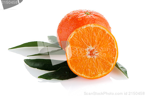 Image of Ripe tangerines or mandarin