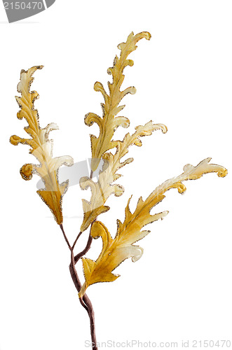Image of Christmas decorative golden leaves