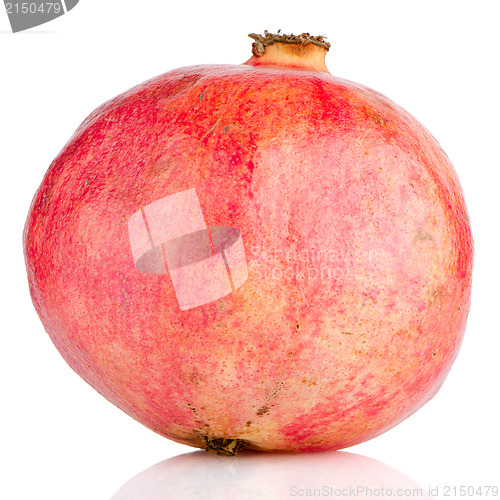 Image of Ripe pomegranate fruit