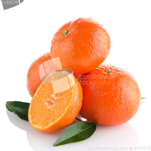 Image of Tangerines