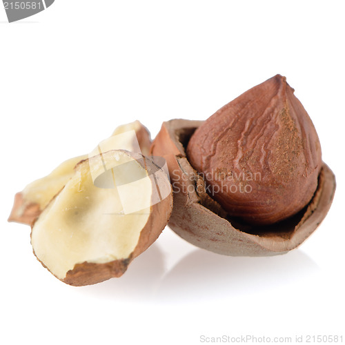 Image of Tasty hazelnuts