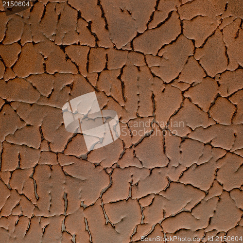 Image of Textured leather 