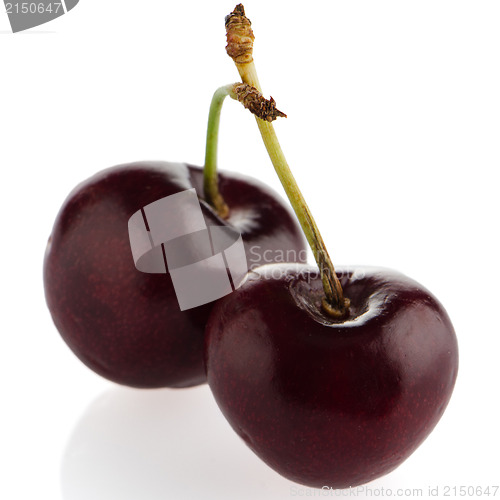 Image of Red cherries