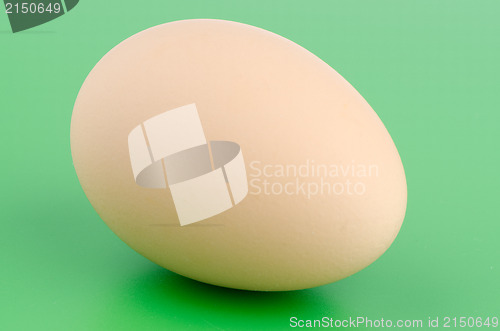 Image of Brown egg