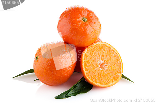 Image of Tangerines