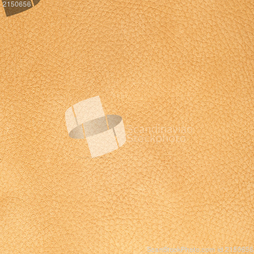 Image of Brown leather texture closeup