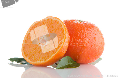 Image of Ripe tangerines or mandarin