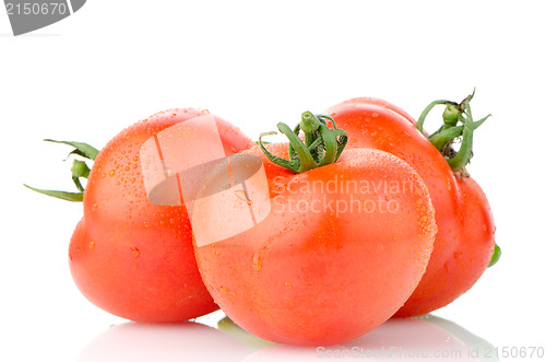 Image of Red ripe tomato