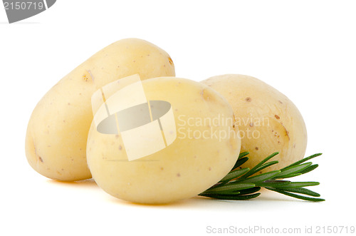 Image of New potatoes and green herbs