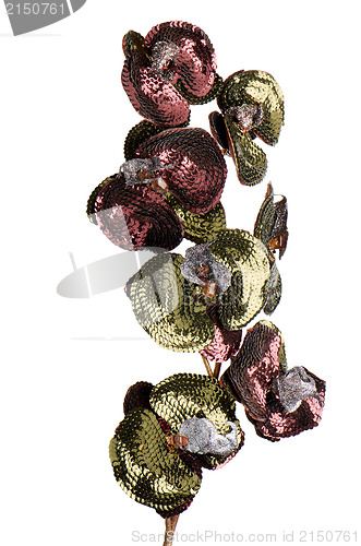 Image of Green and purple Christmas decoration 