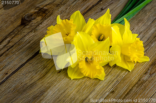 Image of Jonquil flowers