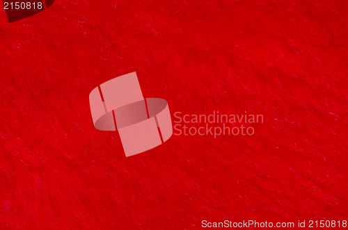 Image of Red  fur