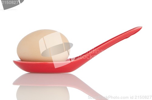 Image of Brown egg in a red ceramic spoon