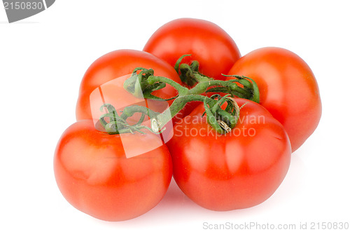 Image of Red ripe tomato