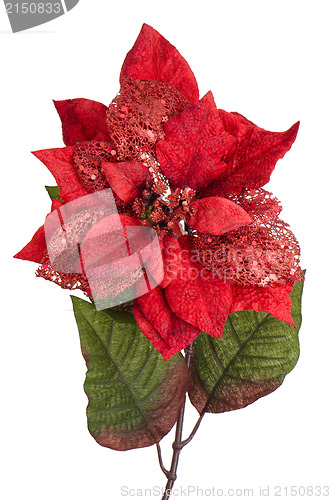 Image of Red Christmas decoration
