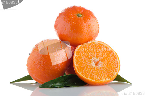 Image of Fresh orange mandarins