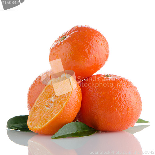 Image of Tangerines