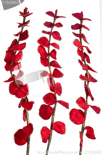 Image of Red Christmas decoration