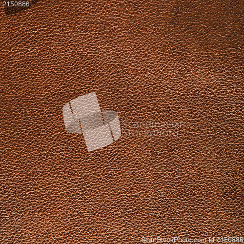 Image of Brown leather