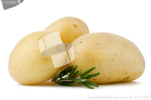 Image of New potatoes and green herbs