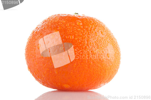 Image of Fresh orange mandarin