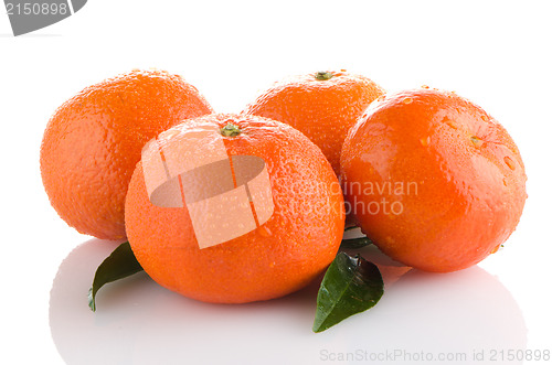 Image of Fresh orange mandarins