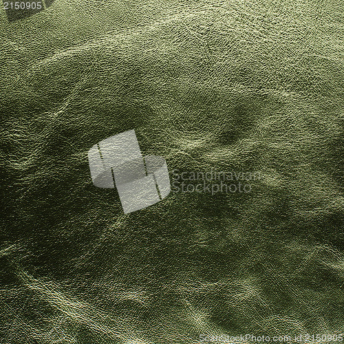 Image of Green leather