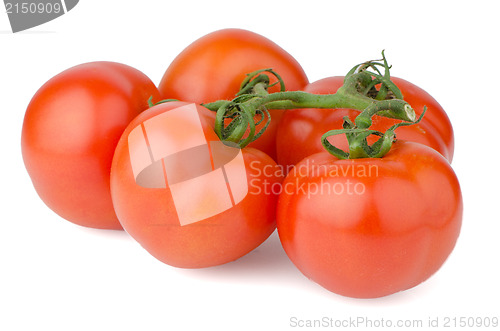 Image of Red ripe tomato
