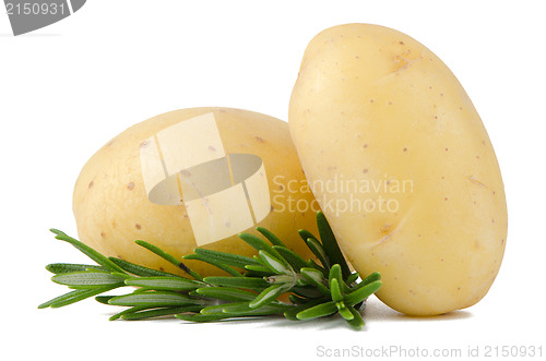 Image of New potato and green parsley