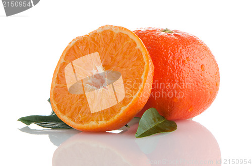 Image of Fresh orange mandarins