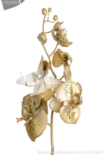 Image of Golden Christmas decoration branches