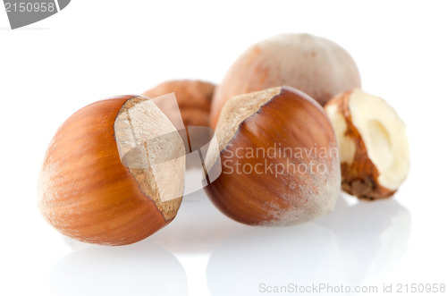 Image of Three hazelnuts