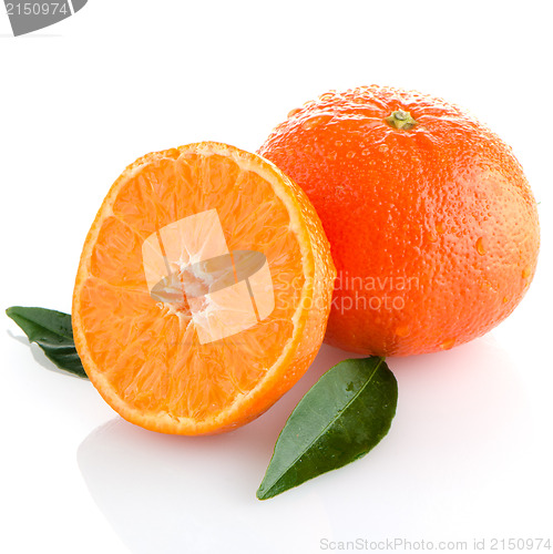 Image of Tangerines