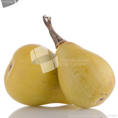 Image of Yellow pumpkins