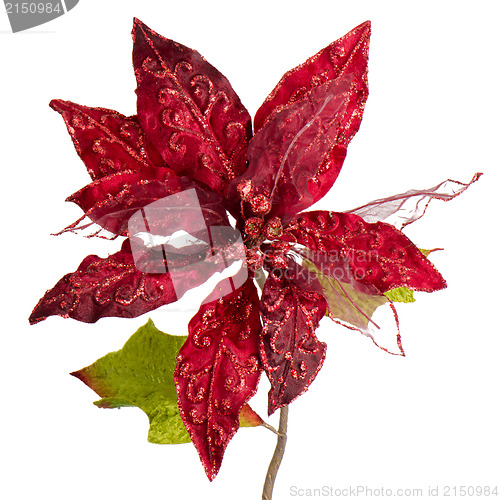 Image of Red Christmas decoration