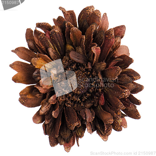 Image of Christmas decoration