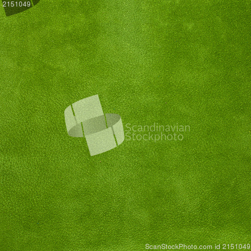 Image of Green leather texture closeup