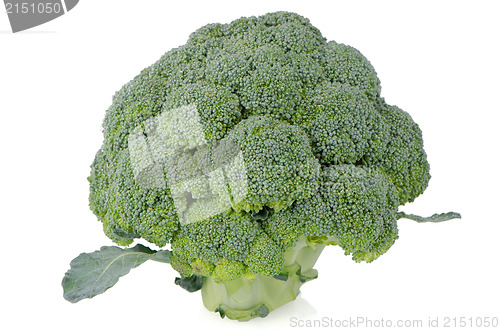 Image of Broccoli