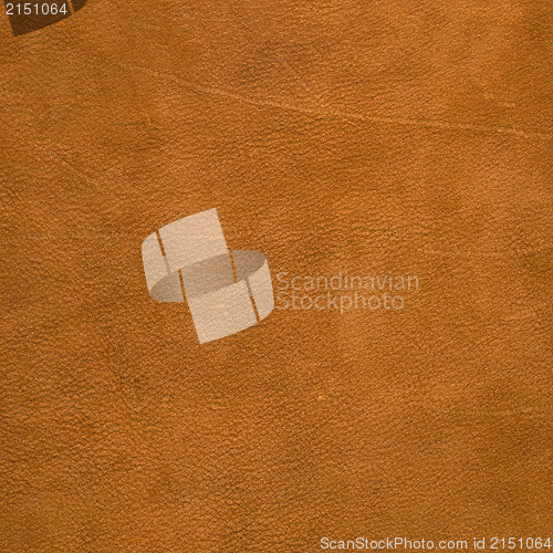 Image of Brown leather texture closeup