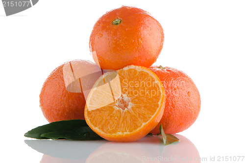 Image of Fresh orange mandarins